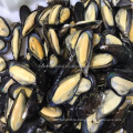 экспорт замороженных моллюсков половина ракушки мидии замороженное мясо мидий